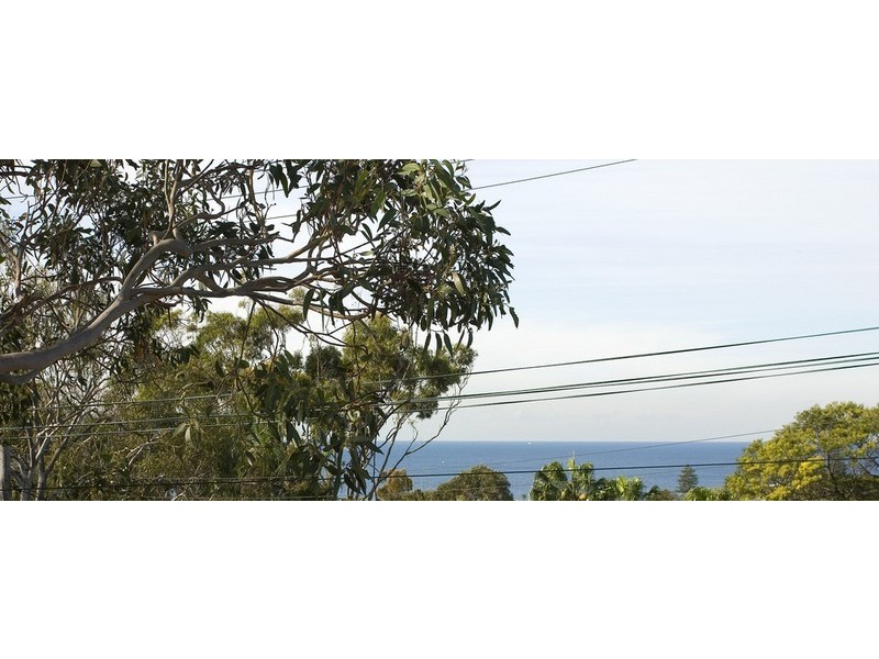 20 Carew Street, Dee Why NSW 2099