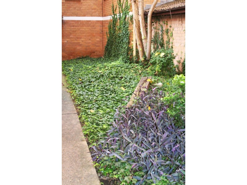 16/13 Forbes Street,, Warwick Farm NSW 2170