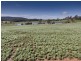 Lot 1 Bass Highway, Deloraine TAS 7304
