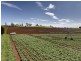 Lot 1 Bass Highway, Deloraine TAS 7304