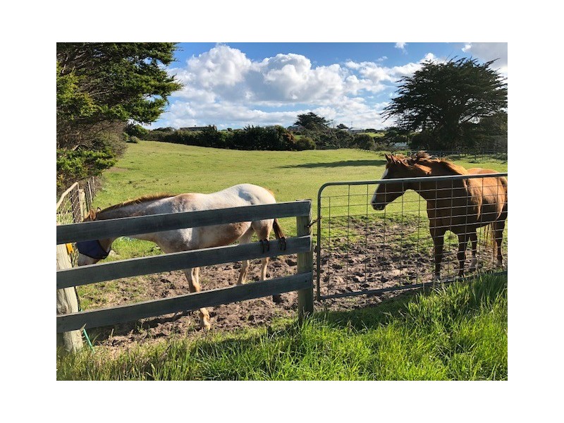 . Charles Street, Currie TAS 7256