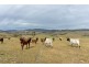 173 Rhyndaston Road, Colebrook TAS 7027