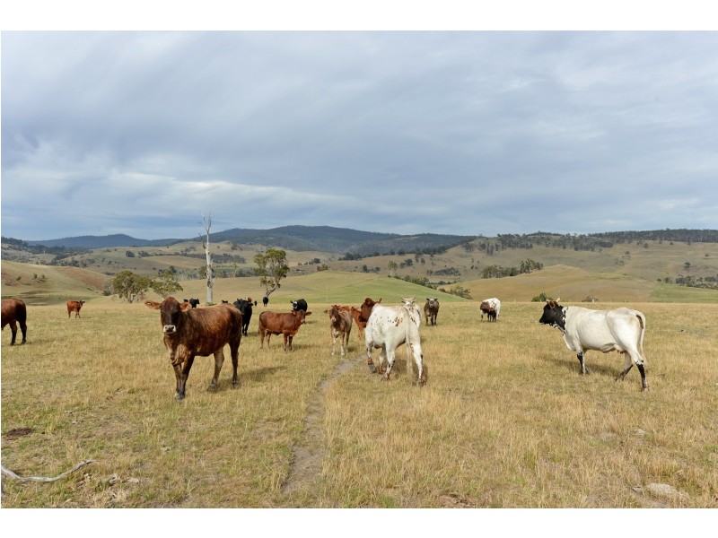 173 Rhyndaston Road, Colebrook TAS 7027
