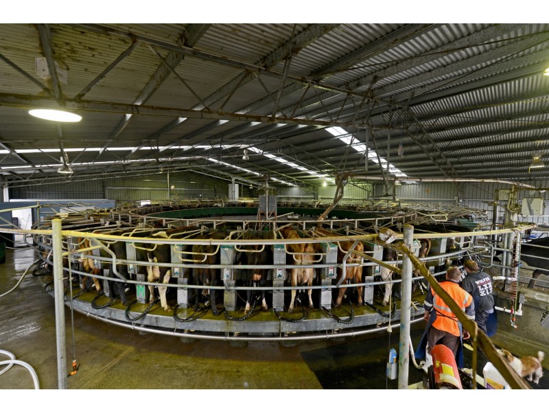 2069 Ellendale Road, Ouse TAS 7140