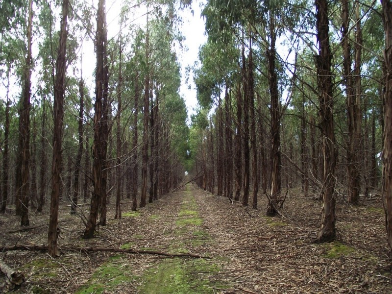 . Dam Road, Saltwater River TAS 7186