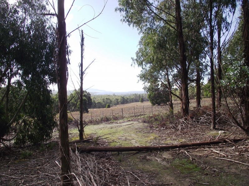 . Dam Road, Saltwater River TAS 7186