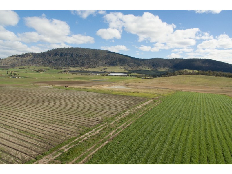 1348 Colebrook Road, Campania TAS 7026