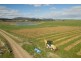 1348 Colebrook Road, Campania TAS 7026