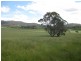 265 Tarleton Road, Tarleton TAS 7310