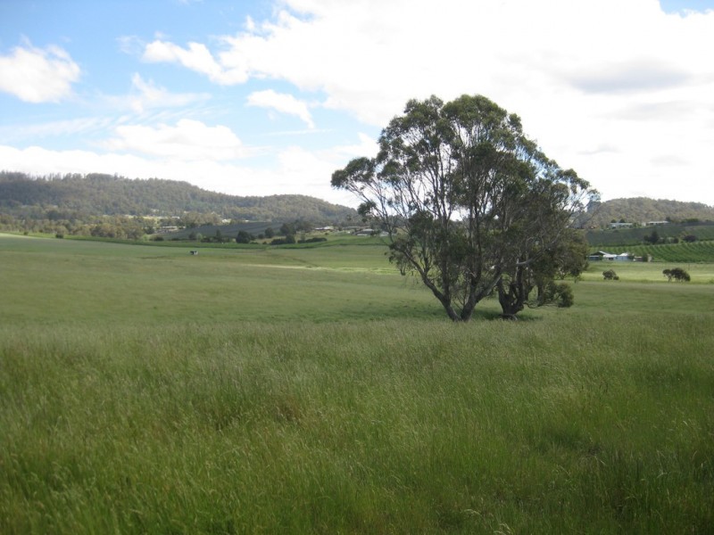 265 Tarleton Road, Tarleton TAS 7310