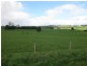 385, 499 and 521 Irishtown Road, Irishtown TAS 7330