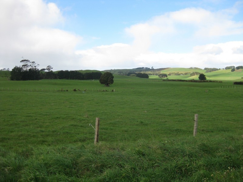 385, 499 and 521 Irishtown Road, Irishtown TAS 7330