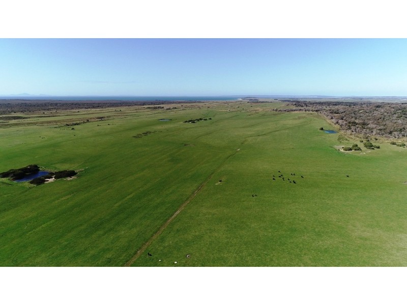 471 Homestead Road, Waterhouse TAS 7262