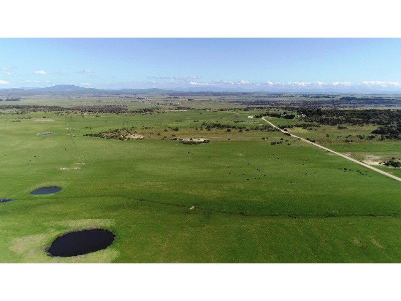 471 Homestead Road, Waterhouse TAS 7262