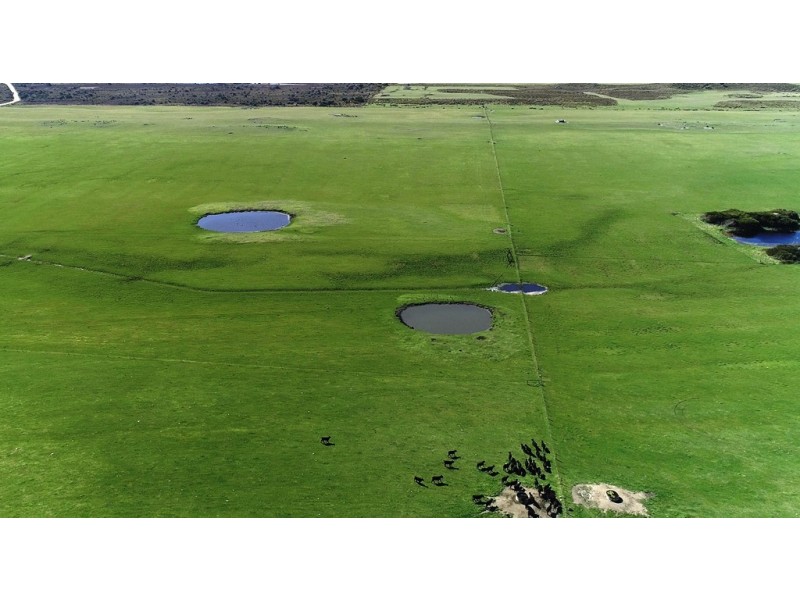 471 Homestead Road, Waterhouse TAS 7262