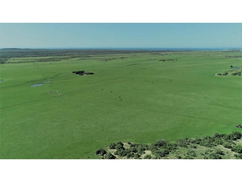 471 Homestead Road, Waterhouse TAS 7262