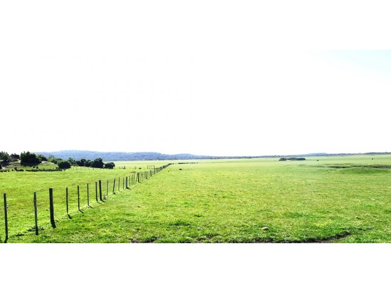 471 Homestead Road, Waterhouse TAS 7262