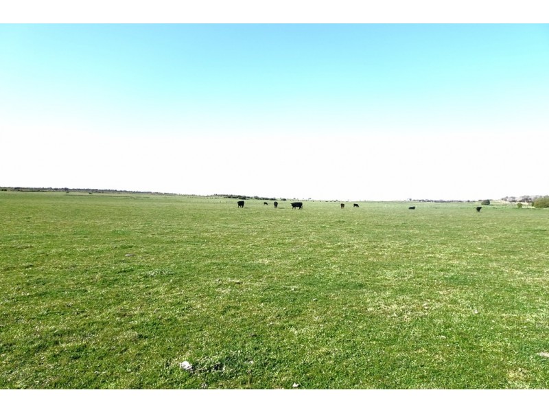 471 Homestead Road, Waterhouse TAS 7262