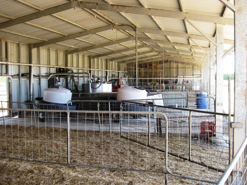 98 Donalds Road and 608 Roger River Road, Roger River TAS 7330