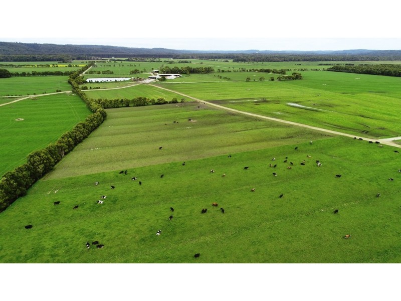 98 Donalds Road and 608 Roger River Road, Roger River TAS 7330