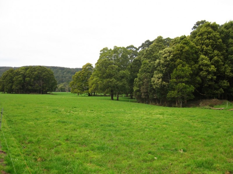 98 Donalds Road and 608 Roger River Road, Roger River TAS 7330