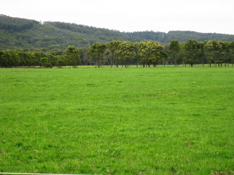 98 Donalds Road and 608 Roger River Road, Roger River TAS 7330