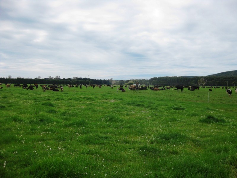 98 Donalds Road and 608 Roger River Road, Roger River TAS 7330