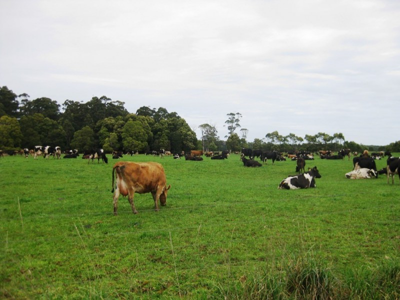 98 Donalds Road and 608 Roger River Road, Roger River TAS 7330