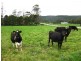 98 Donalds Road and 608 Roger River Road, Roger River TAS 7330