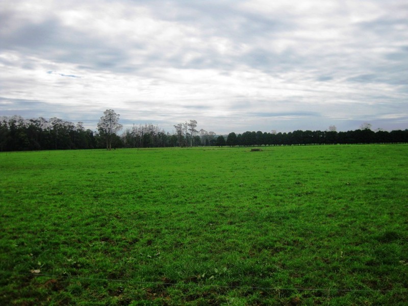 98 Donalds Road and 608 Roger River Road, Roger River TAS 7330