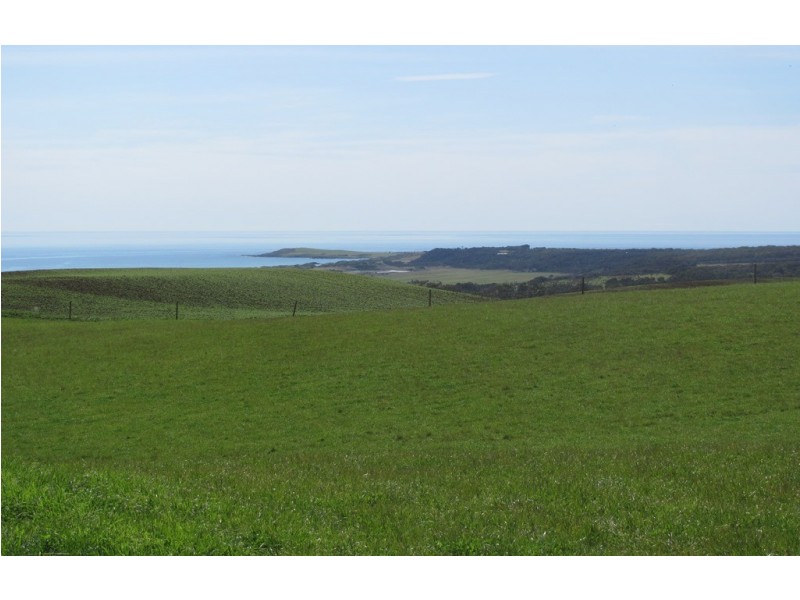 989 Port Sorell Road, Wesley Vale TAS 7307