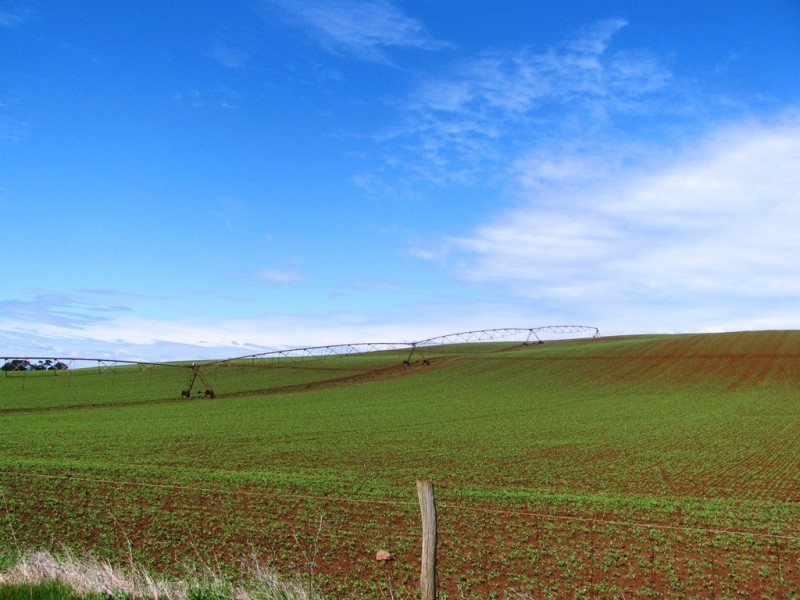 989 Port Sorell Road, Wesley Vale TAS 7307