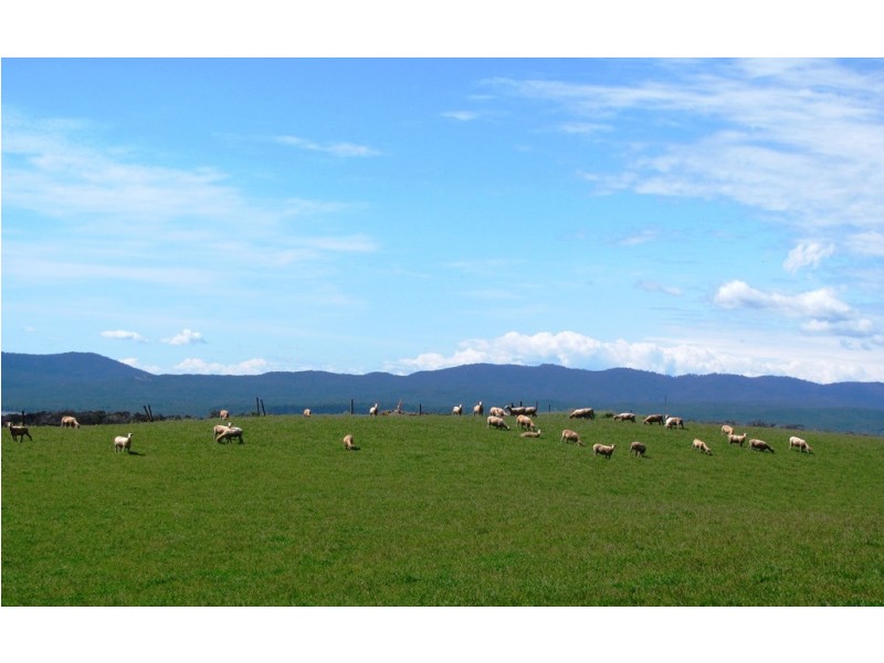 989 Port Sorell Road, Wesley Vale TAS 7307