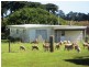 989 Port Sorell Road, Wesley Vale TAS 7307