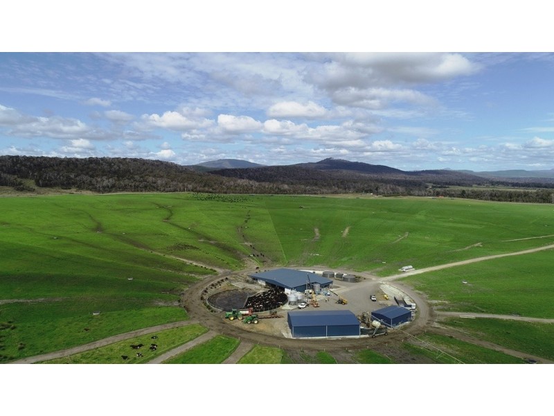 1691 Old Waterhouse Road, Waterhouse TAS 7262