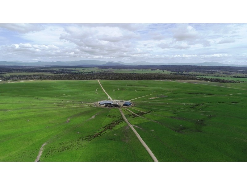 1691 Old Waterhouse Road, Waterhouse TAS 7262