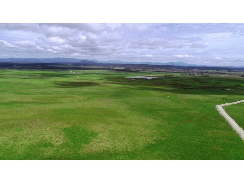 1691 Old Waterhouse Road, Waterhouse TAS 7262