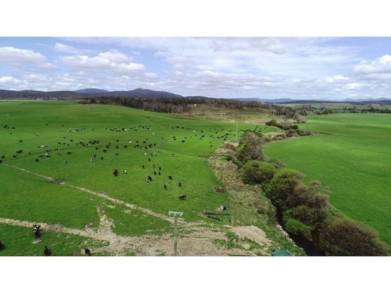 1691 Old Waterhouse Road, Waterhouse TAS 7262