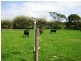 1691 Old Waterhouse Road, Waterhouse TAS 7262