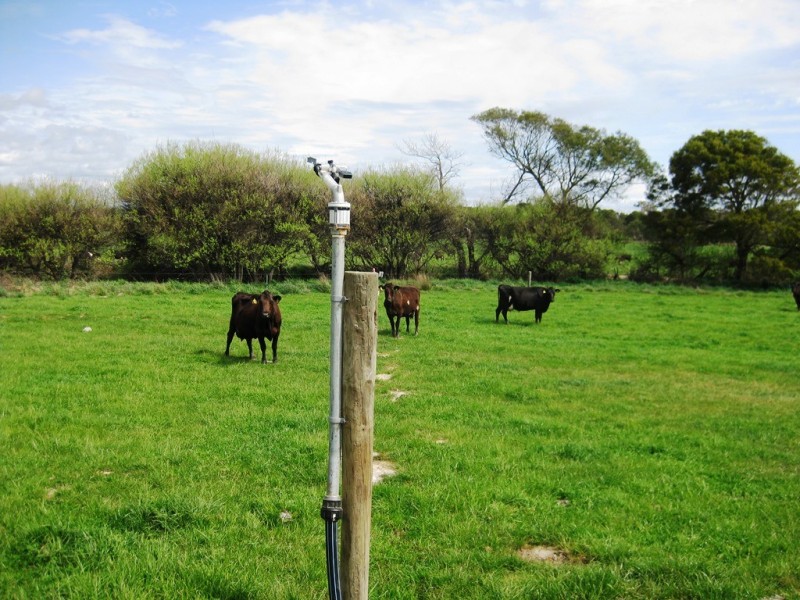 1691 Old Waterhouse Road, Waterhouse TAS 7262