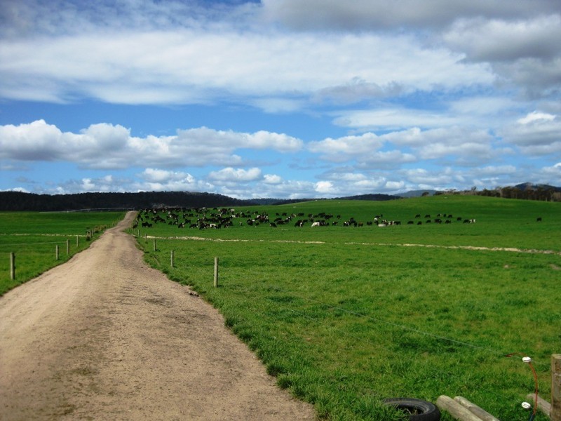 1691 Old Waterhouse Road, Waterhouse TAS 7262
