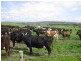 1691 Old Waterhouse Road, Waterhouse TAS 7262