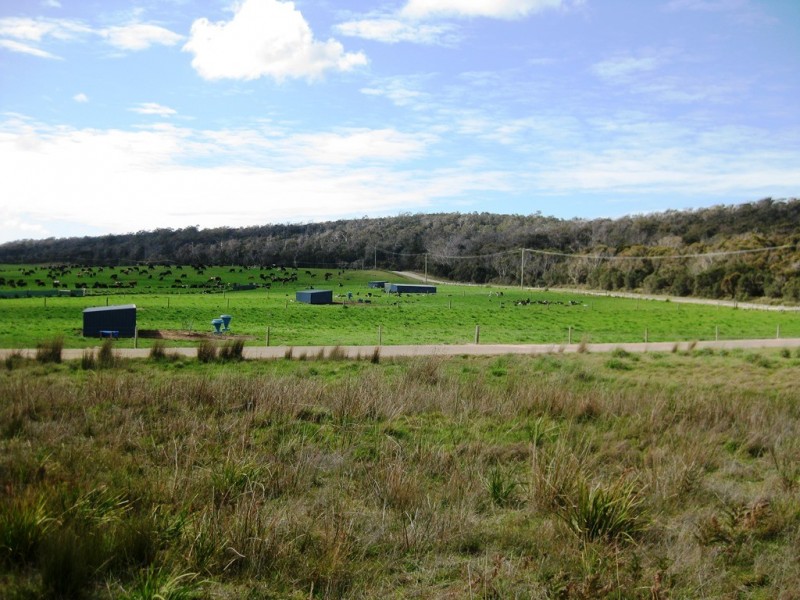 1691 Old Waterhouse Road, Waterhouse TAS 7262