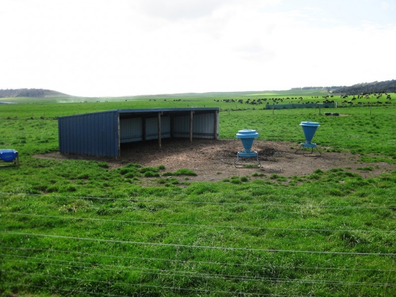 1691 Old Waterhouse Road, Waterhouse TAS 7262