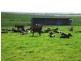 1691 Old Waterhouse Road, Waterhouse TAS 7262