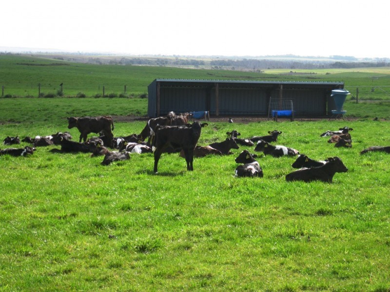 1691 Old Waterhouse Road, Waterhouse TAS 7262