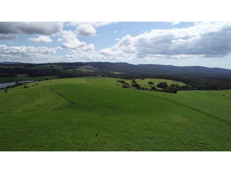 110 Willis Road, Lietinna TAS 7260