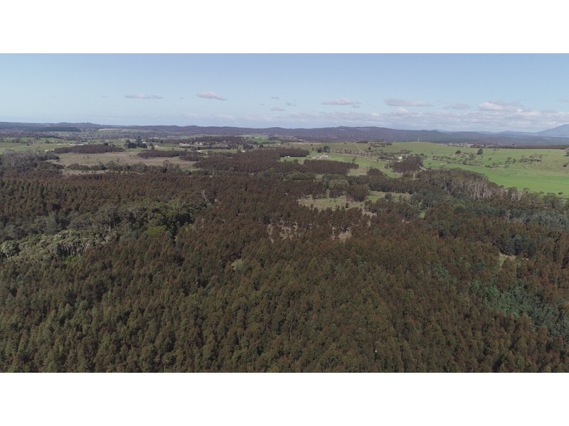 Purcivall Bridport Road, Pipers River TAS 7252