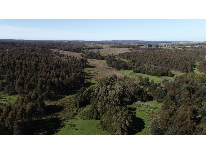 Purcivall Bridport Road, Pipers River TAS 7252