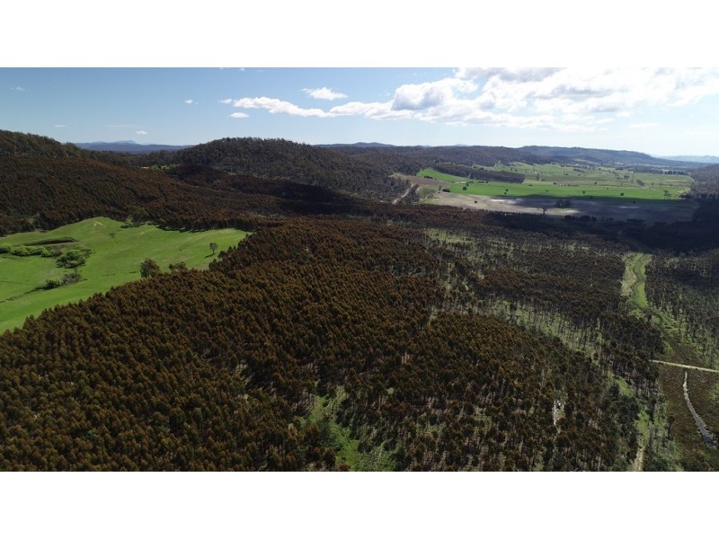 Thurso Spring Ecclestone Road, Riverside TAS 7250